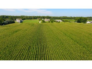 Property photo 7 - LAND AUCTION - 75.2+/- ACRES OFFERED IN 7 TRACTS IN ST. JOSEPH CO., INDIANA